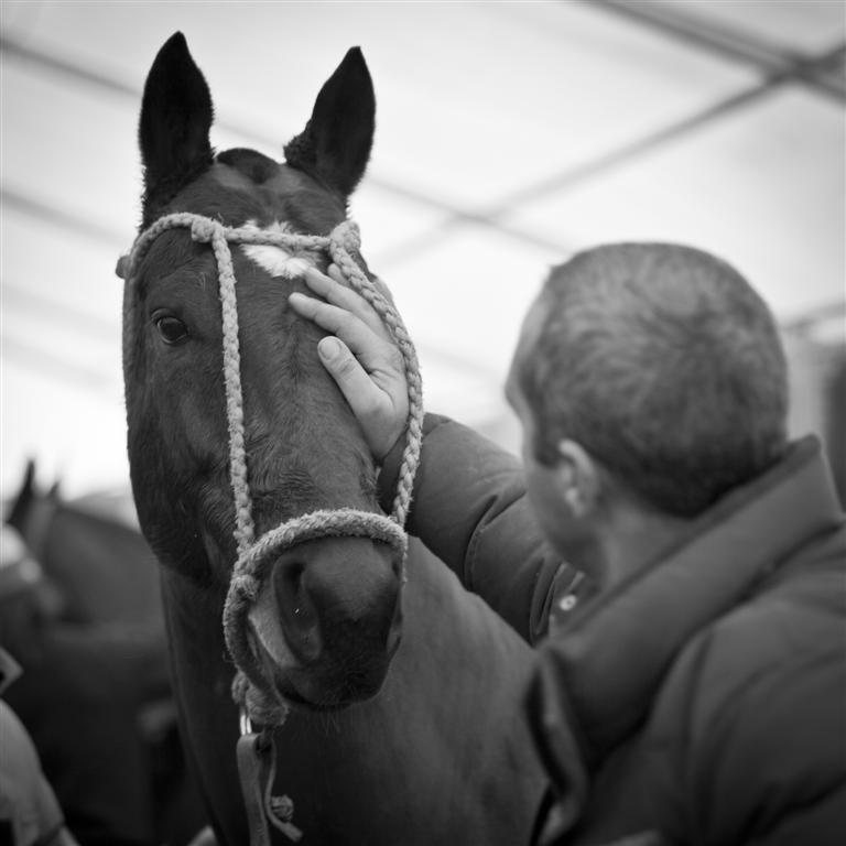 polo magazine photography of morgane delfosse bmw polo masters the polo magazine photos polo 25