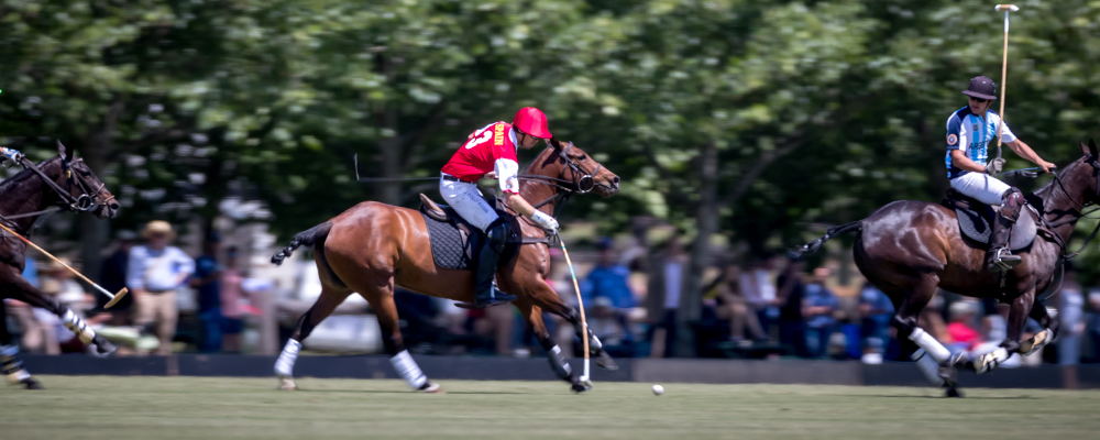 argentinia spain world polo championships