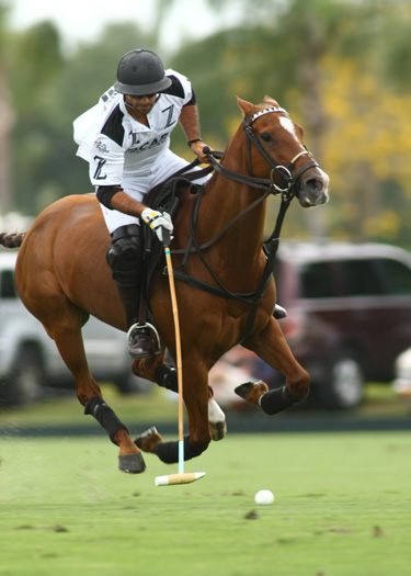 zacara polo team farawaypoloteam polo magazine us polo open 2013 5